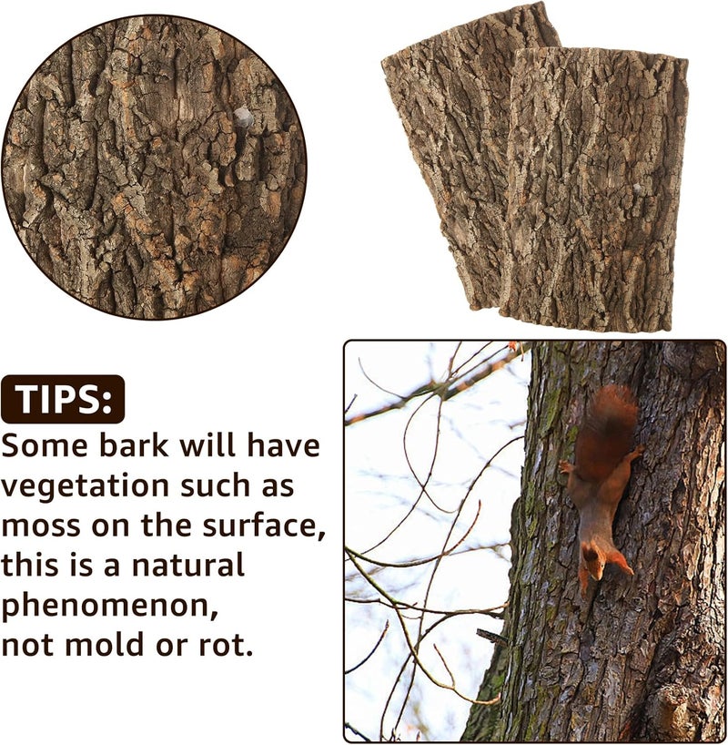 RHBLME 4 Pack Cork Bark, 11.8" L x 7.8" W Cork Bark for Reptiles, Cork Bark for Terrarium, Reptile Tank Background Terrarium Backdrop Wall Decor Natural Reptile Climbing Mat - Image 5
